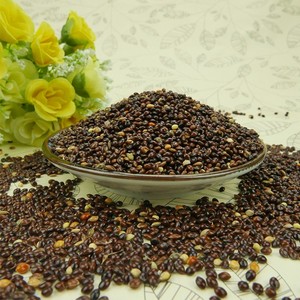 Wholesale <strong>Bird</strong> Feed Millet <strong>20kg</strong> Black Millet <strong>Seed</strong> - Product Image 3