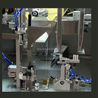 Machine d'emballage pour sachets de thé vert et noir pré-fabriqués de 1 à 10 g, sous vide, en sachet soufflet ou en pochette verticale, pour la vente en gros