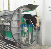 Machine d'abattage de bétail certifiée Halal pour abattoir, incluant le cœur de la machine d'abattage de bovins Roulement de moteur à vendre pour équipement d'abattoir bovin