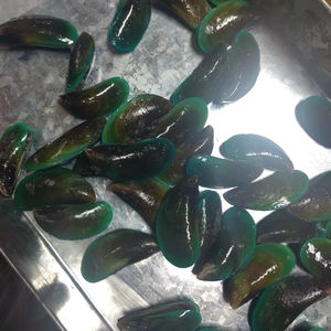 Mejillón verde congelado de media concha, vendedor caliente de origen chileno, <span class=keywords><strong>precio</strong></span> competitivo - Product Image 1