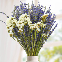 Bunga Lavender kering alami 100g, bunga Lavender awet untuk dekorasi acara dan rumah