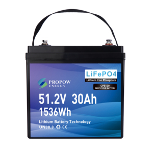 Batería de Litio para Carro de Golf de 48V Personalizada con Carcasa de ABS, 30Ah, 51.2V, 30ah - Product Image 1
