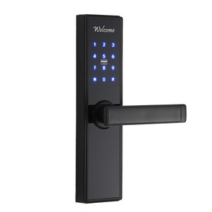Wenxun Smart <b>Lock</b> S026M Fingerprint Password <b>Lock</b> For Wooden Doors Hotels Apartment Rental Properties - Product Image 2