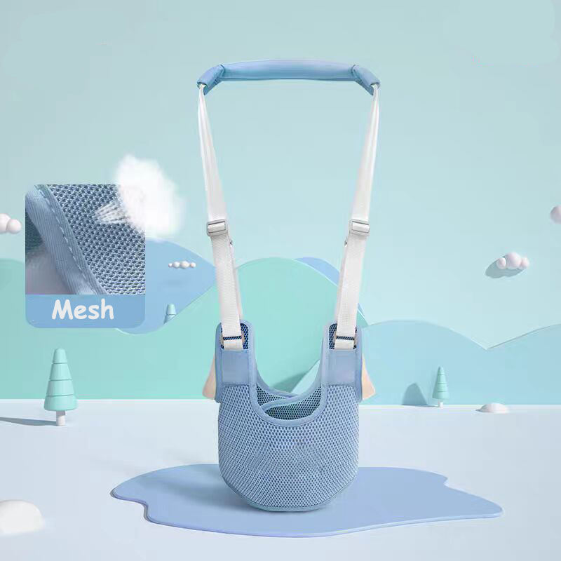 ตาข่ายสีฟ้า