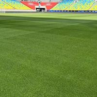 Tapis verts pour terrains de sport en plein air faciles à installer, fabriqués en usine, gazon artificiel imperméable en plastique