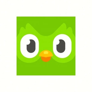 บัญชี Duolingo Pro ระดับพรีเมียม 1 ปี ใช้ได้ทั่วโลก เปิดใช้งานบัญชีของคุณเอง - Product Image 4