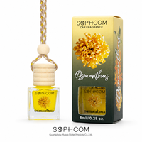 Parfum pour voiture 8ml, flacon en verre avec bouchon en bois, diffuseur d'air suspendu pour voiture, parfum personnalisé, OEM ODM, fournisseur BSCI