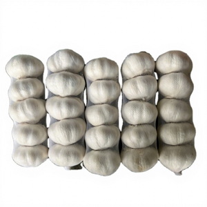 Ajo Blanco Normal de Nueva Temporada 4.5cm Bawang Ajo Fresco de la Mejor Calidad de Granja - Product Image 6