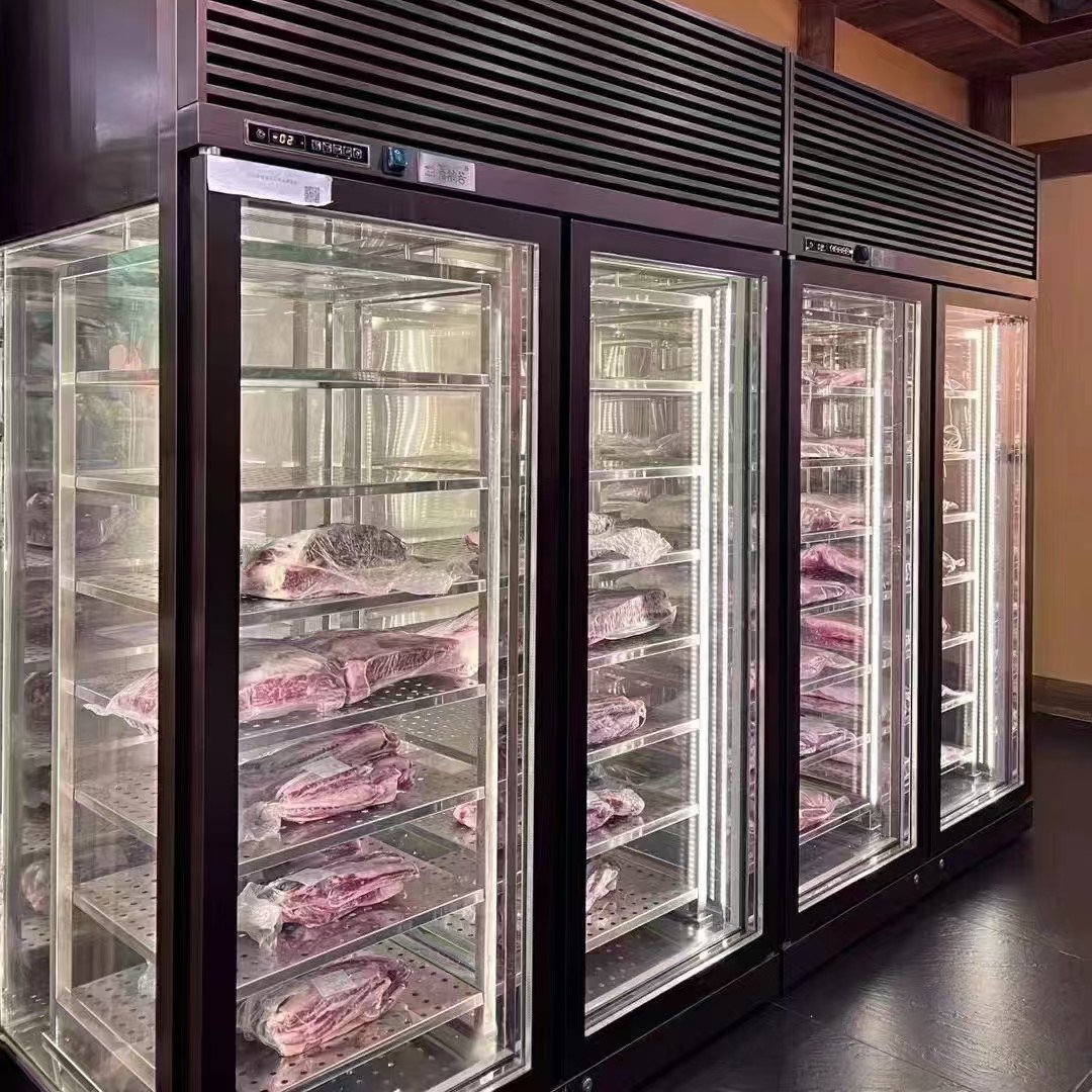 Штекер из говядины Saussages, охладитель для сухого выдержки мяса, холодильник, витрина для Дри-агера, 63 л-5 ~ 10 ℃, влажность 50-85%