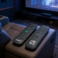 Télécommande universelle intelligente pour téléviseur, remplacement de la télécommande vocale BT, compatible avec les mini-téléviseurs et les boîtiers TV