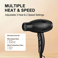 Sèche-Cheveux Professionnel Léger à Moteur Brushless, Séchoir à Cheveux Haute Vitesse
