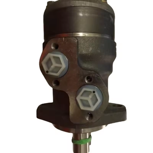 Moteur hydraulique en fonte de la série OMRW OMP OMR 250 315 400 500 TF0360EW260LAAY TF0170ZS06EEEC, pièce de rechange pour machines - Product Image 4