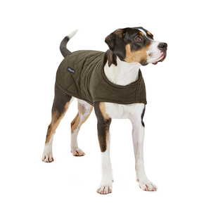 Manteau de <span class=keywords><strong>chien</strong></span> en cire classique et moderne de luxe Vacances du Nouvel An chinois en polyester et coton - Product Image 1