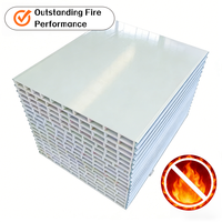 Panneau creux ignifuge en MgO de classe A2 pour hôpitaux et salles blanches électroniques – Panneaux sandwich ignifuges pour murs