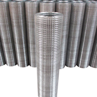 Maille de fil métallique galvanisé à chaud de bonne qualité 2x2 avant soudage en rouleaux pour clôture de volaille