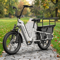 Vélo de route électrique haute performance pour les trajets urbains et les sorties du week-end, vélo cargo à assistance électrique