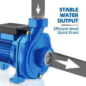 <span class=keywords><strong>Pompe</strong></span> de surface SHENNENG, <span class=keywords><strong>pompe</strong></span> de surpression d'eau, 220V, <span class=keywords><strong>automatique</strong></span>, 1,5 CV, <span class=keywords><strong>pompe</strong></span> centrifuge horizontale - Product Image 2