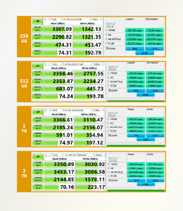 SSD Interno M2 de 256 GB PCIe Gen3X4 2280 con Disipador de Calor Delgado, 3300 MB/s de Lectura/3000 MB/s de Escritura, Garantía de 5 Años, SSD de 256 GB, SSD PCIe de 256 GB - Product Image 4