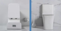 Salle de bain sanitaire en céramique de bonne qualité Siphonic P-trap S Trap One Piece Wc Cuvette de toilette avec les prix les plus bas