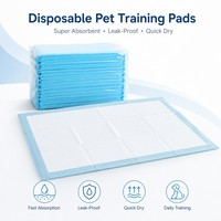 Tapis d'apprentissage hydrophiles écologiques imperméables non tissés pour chiots, avec noyau SAP à transfert rapide, barrière d'humidité PE, nettoyage OEM