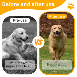 Private Label Pet Health Care <strong>Glucosamine</strong> Pet <strong>Supplements</strong> Hip Joint Support <strong>Dog</strong> Chondroitin Soft Chews <strong>Best</strong> Seller in Amz - Product Image 4