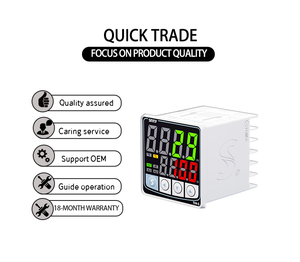 Controlador de temperatura del termostato del horno digital Sinny de alta calidad, salida de relé Alto y Bajo, entrada RTD, 100-240VAC/DC, 48x48 - Product Image 4