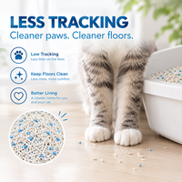 Litière pour chat en tofu et manioc, mélange de fibres végétales, agglomération rapide, faible poussière, contrôle des odeurs, anti-adhérence au fond, vente en gros OEM