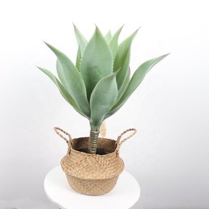 Plante artificielle naturelle et colorée, bonsaï Agave Potatorum <span class=keywords><strong>Variegata</strong></span> - Product Image 6