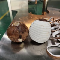 DQ Guangdong Industriële Intelligente Kokosnoot Schilmachine PLC-gestuurd Commercieel Automatisch Hoge Efficiëntie