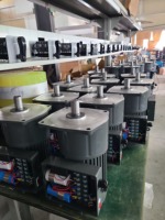 Moteur à engrenages vertical monophasé certifié CE 110V/220V GV/GLW Réducteur de vitesse Moteur en stock