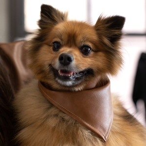 Venta caliente cuero perro Bandana impermeable mascota Bandana Collar portátil perro bufanda Bandana - Product Image 4