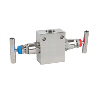 Robinet d'arrêt IV20 en acier inoxydable 316, raccords FPT x FPT, pour gaz, utilisation à température normale - Product Image 2