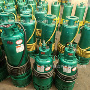ปั๊มทรายใต้น้ำแบบป้องกันการระเบิดสำหรับงานเหมือง Bqs200-60-55kw กำลังไฟฟ้า 5 แรงม้า แบบแรงเหวี่ยง สำหรับอุตสาหกรรมเหมืองแร่ - Product Image 3