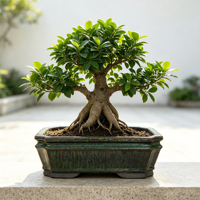 Pot à succulentes, jardinière de fenêtre, pots à bonsaï en argile violette Yixing, pot rectangulaire en céramique émaillée, pot classique pour herbes, pot à fleurs, pots pour arbres