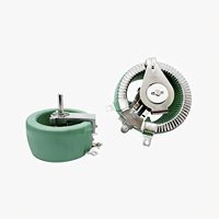 Potenciómetro de Hilo Enrollado Ajustable RXNE BC1 con Disco de Porcelana, Resistencia Variable 1-1K, Tolerancia 10%, 50W 100W 300W, Directo de Fábrica