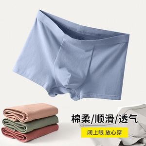 Caleçons Boxers Confortables et Respirants en Coton et Spandex pour Hommes, Taille Moyenne, Séchage Rapide, Sans Coutures, Grande Taille - Product Image 2