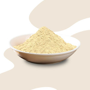 Factory Supply High Quality <strong>Bromelain</strong> Enzyme Powder Activity <strong>1200</strong> <strong>GDU</strong>/g <strong>Bromelain</strong> Pineapple Stem Extract - Product Image 1