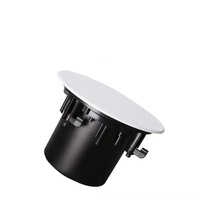 Haut-parleur coaxial de plafond 100W à bord étroit, grille magnétique sans cadre, système audio haute fidélité pour home cinéma, hôtel, centre commercial