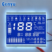 Oem Odm Monochrome 128x64 Cog Graphique Personnalisé HTN STN Fstn Segment noir Va Segment OLED IPS Couleur TFT Écran LCD Tactile