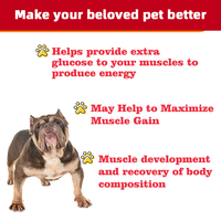 Complément Protéiné à Croquer pour Chiens Marque Privée OEM – Favorise la Prise de Masse Musculaire, Renforce le Système Immunitaire avec des Vitamines
