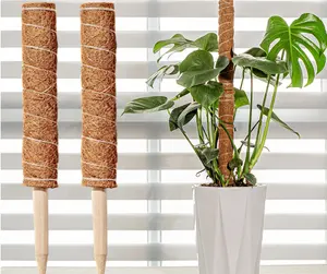 Coconut tree stem suspension plants support for moss pole