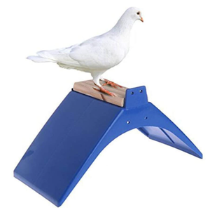 Perchoir en plastique pour pigeons, support de repos pour <span class=keywords><strong>colombes</strong></span>, cadre grillagé, perchoirs pour pigeons, nid pour fournitures avicoles - Product Image 6