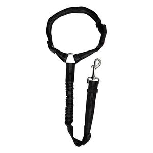 Conjunto de correa de nailon ajustable <span class=keywords><strong>superior</strong></span> para perros Correa ecológica multifuncional resistente para entrenamiento de comportamiento canino y visitas al parque - Product Image 1