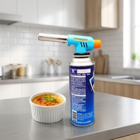 Lance-flammes au butane WS-512C en acier inoxydable et plastique, cadeau d'anniversaire