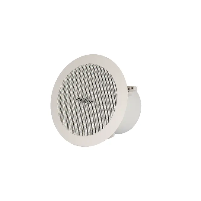 Economic wall mount speaker ceiling speaker sound equipment/speaker for hotel school