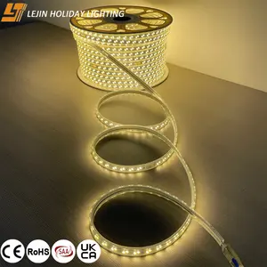 Preço especial Luz de tira LED de corda à prova d'água 220V para decoração ao ar livre