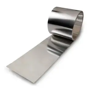 Baoji factory spot Gr5 Strip Titanium/tape/belt Harga terbaik TC4 foil titanium murni tebal