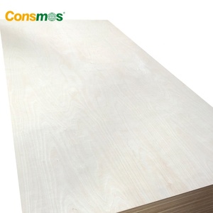 <span class=keywords><strong>Precio</strong></span> <span class=keywords><strong>de</strong></span> Lámina <span class=keywords><strong>de</strong></span> Madera Contrachapada <span class=keywords><strong>de</strong></span> Abedul Báltico para Aviones <span class=keywords><strong>de</strong></span> 3 mm, 5 mm, 8 mm, 18 mm, 4x8 - Product Image 3