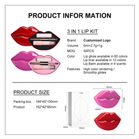 Coffret Cadeau Maquillage Lèvres Personnalisé : Crayon à Lèvres, Gloss Liquide, Baume à Lèvres, Kit Soin des Lèvres Naturel, Imperméable, Étiquette Privée Unique, Faible MOQ