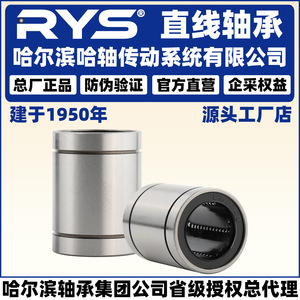 ตลับลูกปืนเม็ดกลมแบบเส้นตรง RYS LM 3 4 5 6 8 10 12 13 16 20 25 30 35 LU P5 ความแม่นยำสูง แบบเปิด หล่อลื่นในตัว - Product Image 2